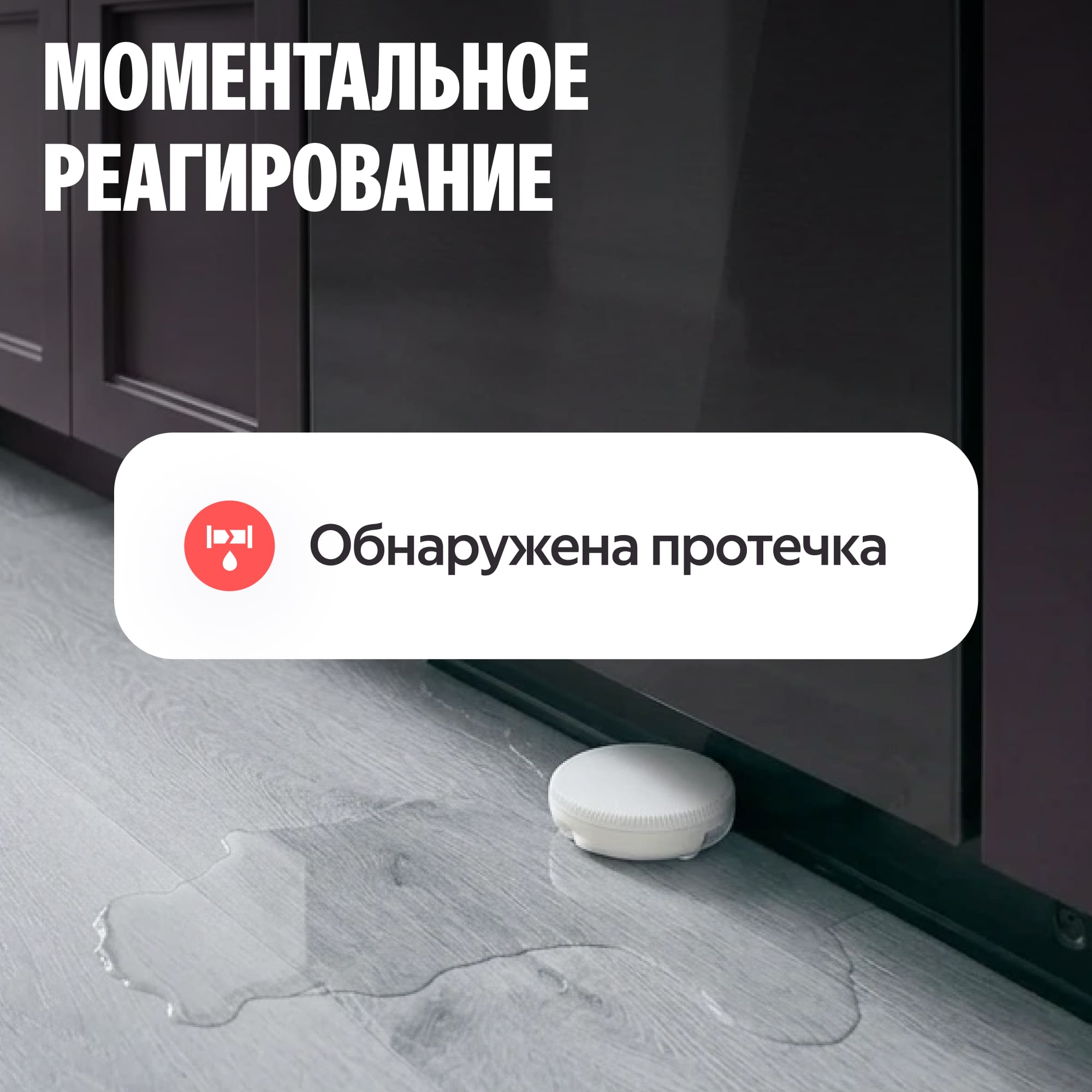 NEPTUN × Умный дом с Алисой. Умная система защиты от протечек воды