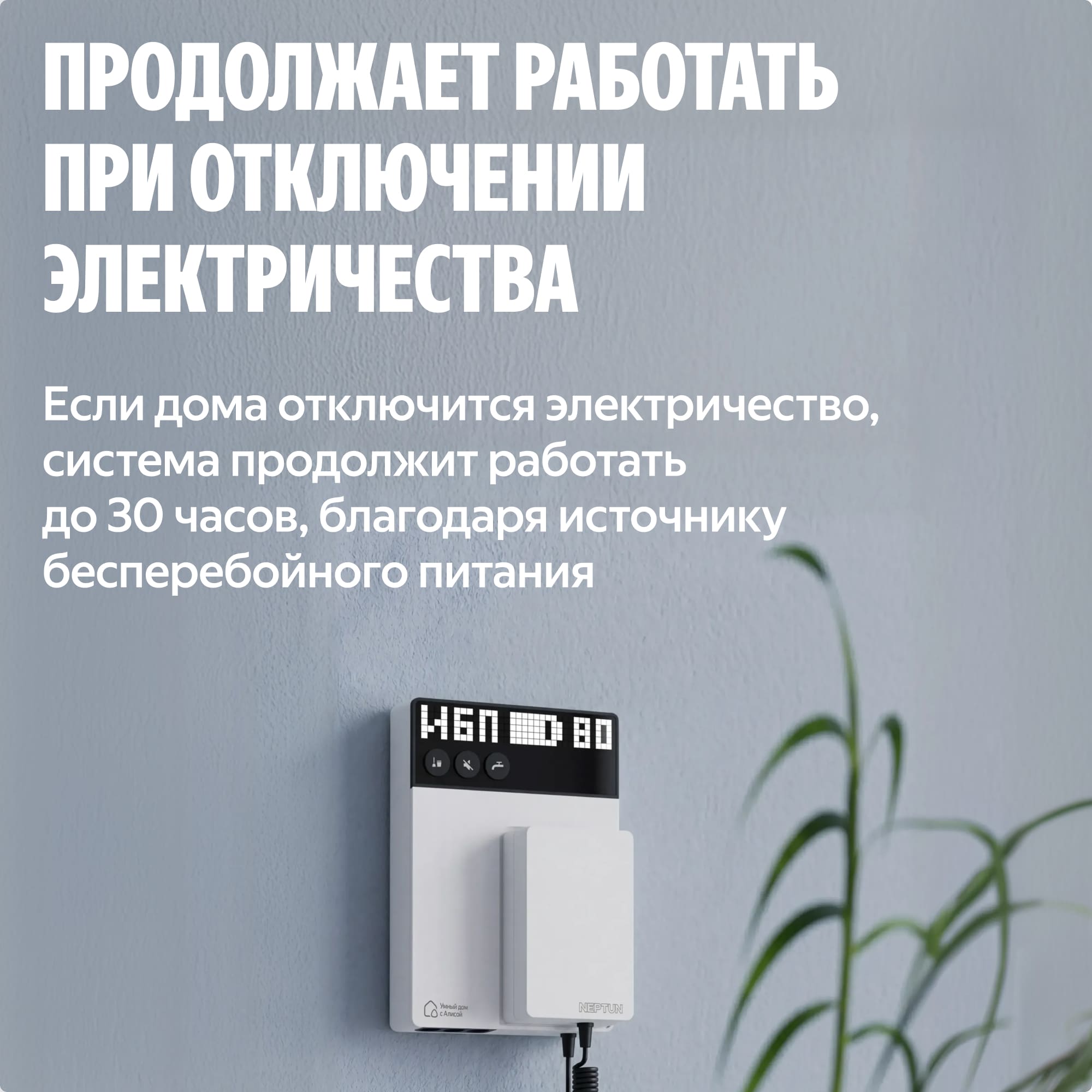 NEPTUN × Умный дом с Алисой. Умная система защиты от протечек воды